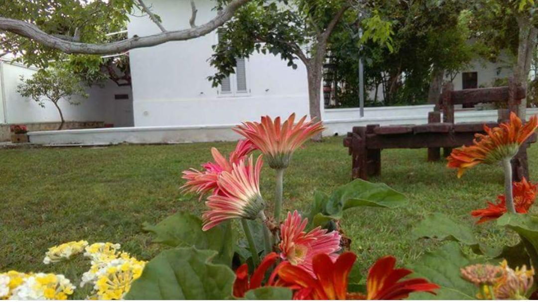 Borgo Fiore Country House Salice Salentino Extérieur photo